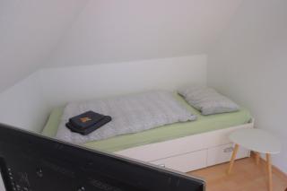 Villa Medicus - FeWo und Monteurwohnung mit Dachterrasse - 1