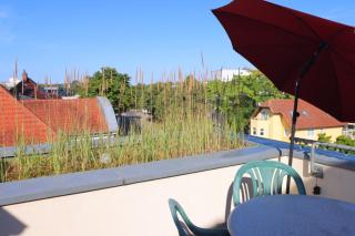 Villa Medicus - FeWo und Monteurwohnung mit Dachterrasse - 9