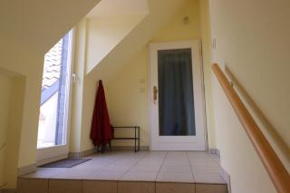Villa Medicus - FeWo und Monteurwohnung mit Dachterrasse - 8