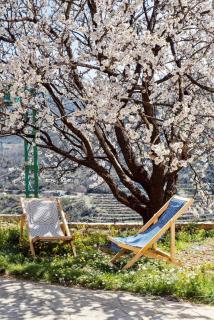KAÏA GUESTHOUSE Barouk -Chouf - 6