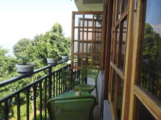 The Mountain Nest Homestay and Maitri Cafe - 1
