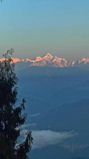 Alpine's Nest Homestay, Ramdhura - 0
