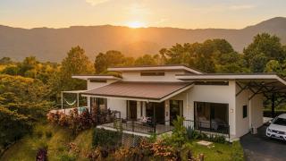 Panoramic Jungle Views-pool-2 suites-wildlife - 0