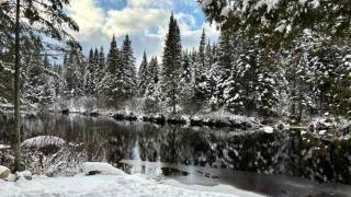Chalet La Chouette with Private Spa Access to Ouareau Forest - 8