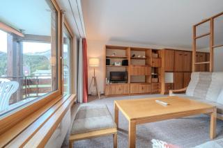 Rehwiesa A11 by Arosa Vacations, Direkt vor der Skipiste & mit Pool - 5