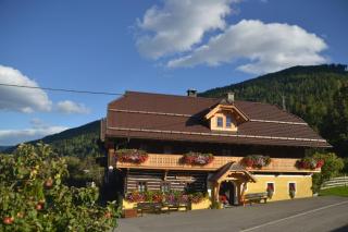 Bio Naturhof Ottingerhof - Bad Kleinkirchheim - 6