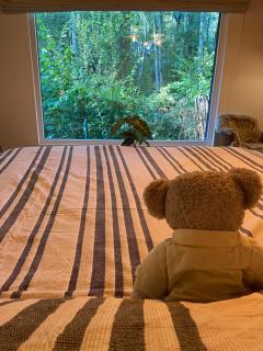 Kabana - eco forest suite - 7
