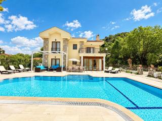 Villa Luna - 7