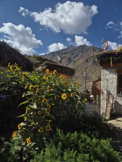 Donsa Homestay - 5