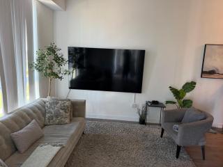 Luxury 2 bedroom Condo Apartment - 2