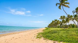Apto frente ao mar com varanda, piscina, pet friendly - 7