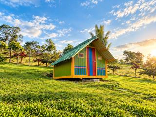 Glamping Bugambilia - 8