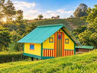Glamping Bugambilia - 7