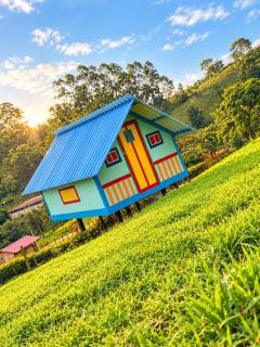 Glamping Bugambilia - 5