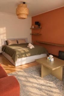 elegant 2BR apr in the Center of downtown - 2