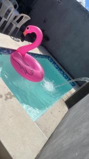 Casa completa com piscina privativa, dois quartos, dois banheiros e cozinha completa - 0