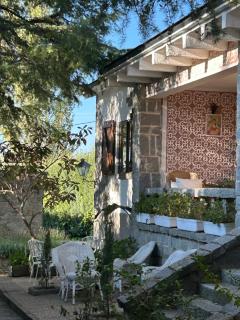 Villa Aurelia - Casa de campo con jardín y piscina entre Madrid y Segovia - 1