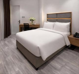 فندق بلازا أثينيه Plaza Athenee Hotel - 3