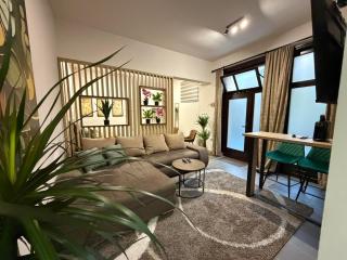 Apartmani u srcu grada - Premium - 0