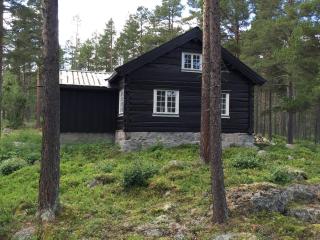 Beautiful renovated log cabin - 0