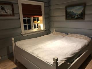 Beautiful renovated log cabin - 1