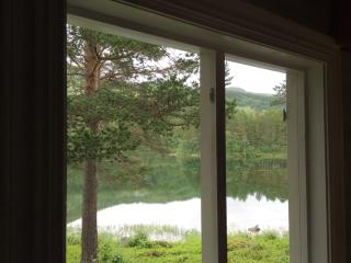 Beautiful renovated log cabin - 6