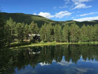 Beautiful renovated log cabin - 8