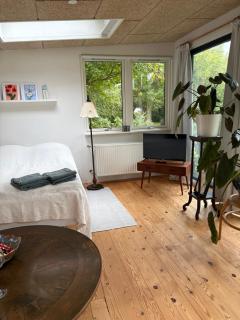 Skuret Maribo - 5