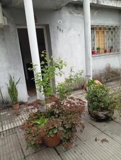 CASITA, a 8 cuadras de Casa Historica - 9
