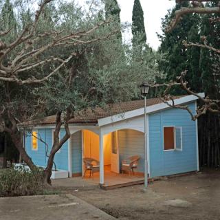 Camping Azahar - Benicàssim - 6