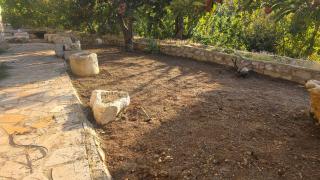 Beit hanna - 5