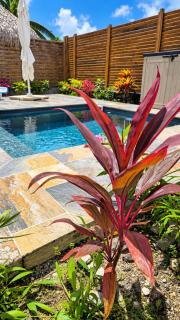 La villa SunCloud 3 chambres avec piscine privative - Le Diamant - 5