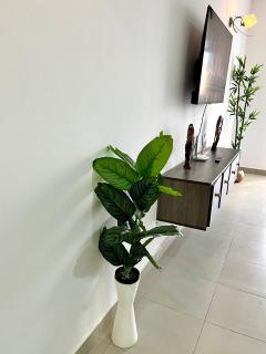 Luxury by the Seaside - 4
