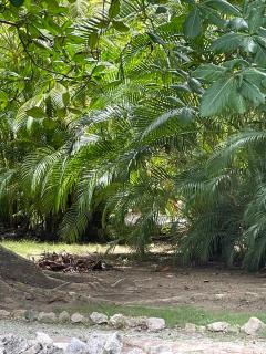 apartamentos for beautiful vacation punta cana - 2