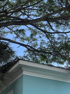 apartamentos for beautiful vacation punta cana - 1