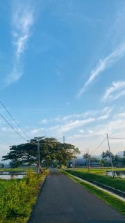 Countryside Homestay - 7