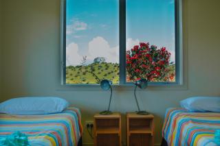 Rotoroa Island Holiday Homes, Hauraki Gulf, Auckland - 6