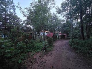 Cabaña en el Bosque de San José del Pacífico 3 - 5