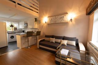 Renfrew Cozy 1BR Apartment - 0