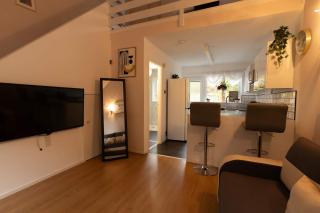 Renfrew Cozy 1BR Apartment - 9