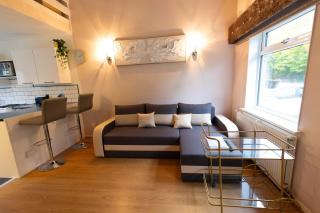 Renfrew Cozy 1BR Apartment - 5