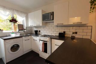 Renfrew Cozy 1BR Apartment - 3