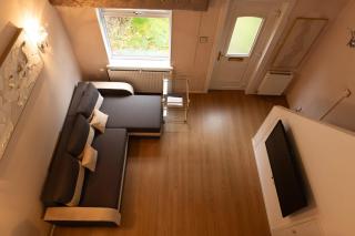 Renfrew Cozy 1BR Apartment - 1