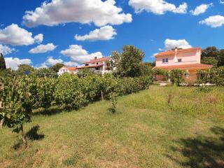 Apartments with A - C in Valbandon-Istrien 45122 - 8