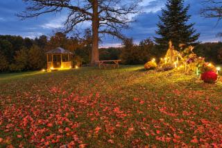 Bungo Creek Retreat w/ Multi-Use Trails & a Creek - 8