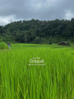 Chibacall ชิบะคอล Karen Mountains Hideaway Homestay - 2
