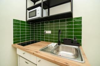 Apartment in Zizkov -504- - Praga - 8