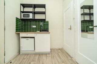 Apartment in Zizkov -504- - Praga - 4