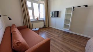Flat in Zizkov -502- - 8