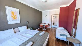 Flat in Zizkov -502- - 1